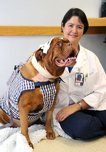 Image of Dr Fiona James and a large brown dog